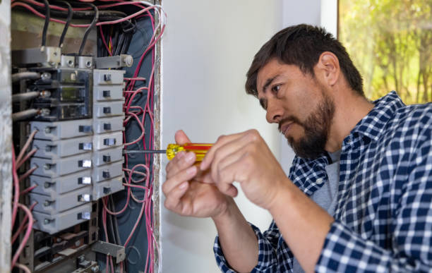 Best Electric Panel Repair  in Opelika, AL